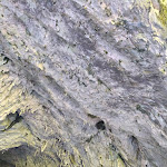 Photo n° 3 de l'avis de Laurent.h fait le 30/08/2023 à 11:58 pour Grotte de Bédeilhac à Bédeilhac-et-Aynat