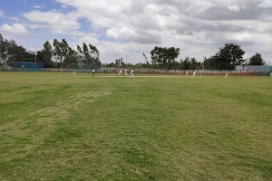 Hyper turf cricket ground image