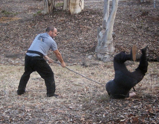 Bujinkan Taka-Seigi Dojo San Diego