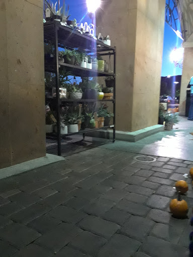 Grocery Store «Vons», reviews and photos, 3233 Foothill Blvd, La Crescenta, CA 91214, USA