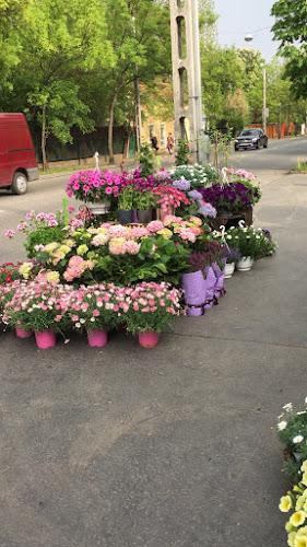 Értékelések erről a helyről: Vasvirág, Budapest - Virágárus