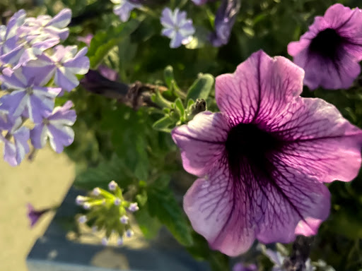 Home Improvement Store «The Home Depot», reviews and photos, 899 County St, Taunton, MA 02780, USA