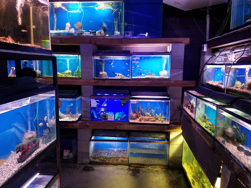 Tropical Fish Store «Midway Tropical Fish & Pets», reviews and photos, 24101 Pacific Hwy S, Kent, WA 98032, USA