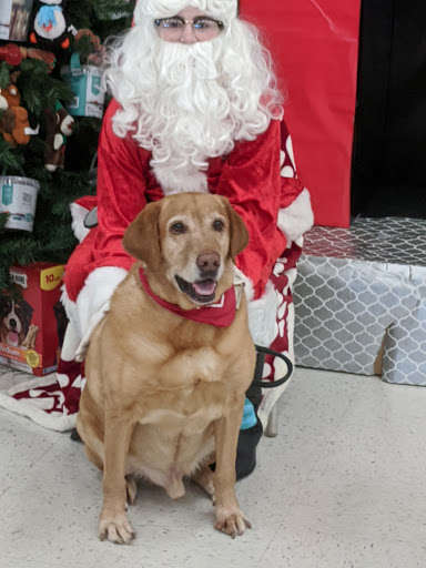 Pet Supply Store «PetSmart», reviews and photos, 625 Baltimore Blvd, Westminster, MD 21157, USA
