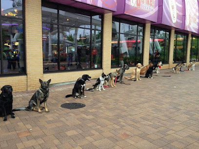 Dave McMahon's Dog Training Academy