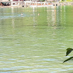 Photo n°6 de l'avis de Gaby.� fait le 08/07/2023 à 10:36 sur le  Gaststätte Echostüberl à Schönau am Königssee