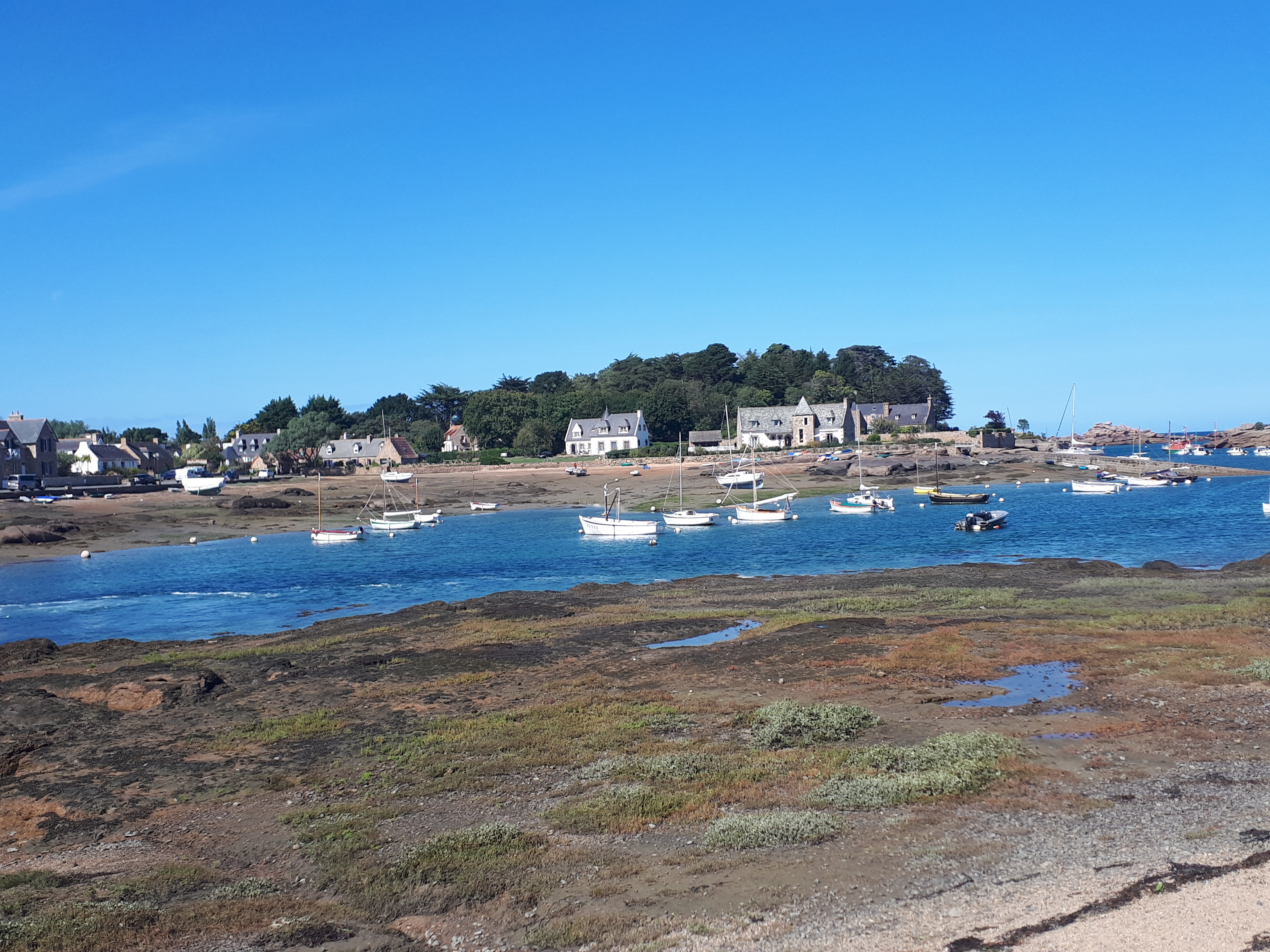 Photo n° 2 de l'avis de T. fait le 16/09/2022 à 12:22