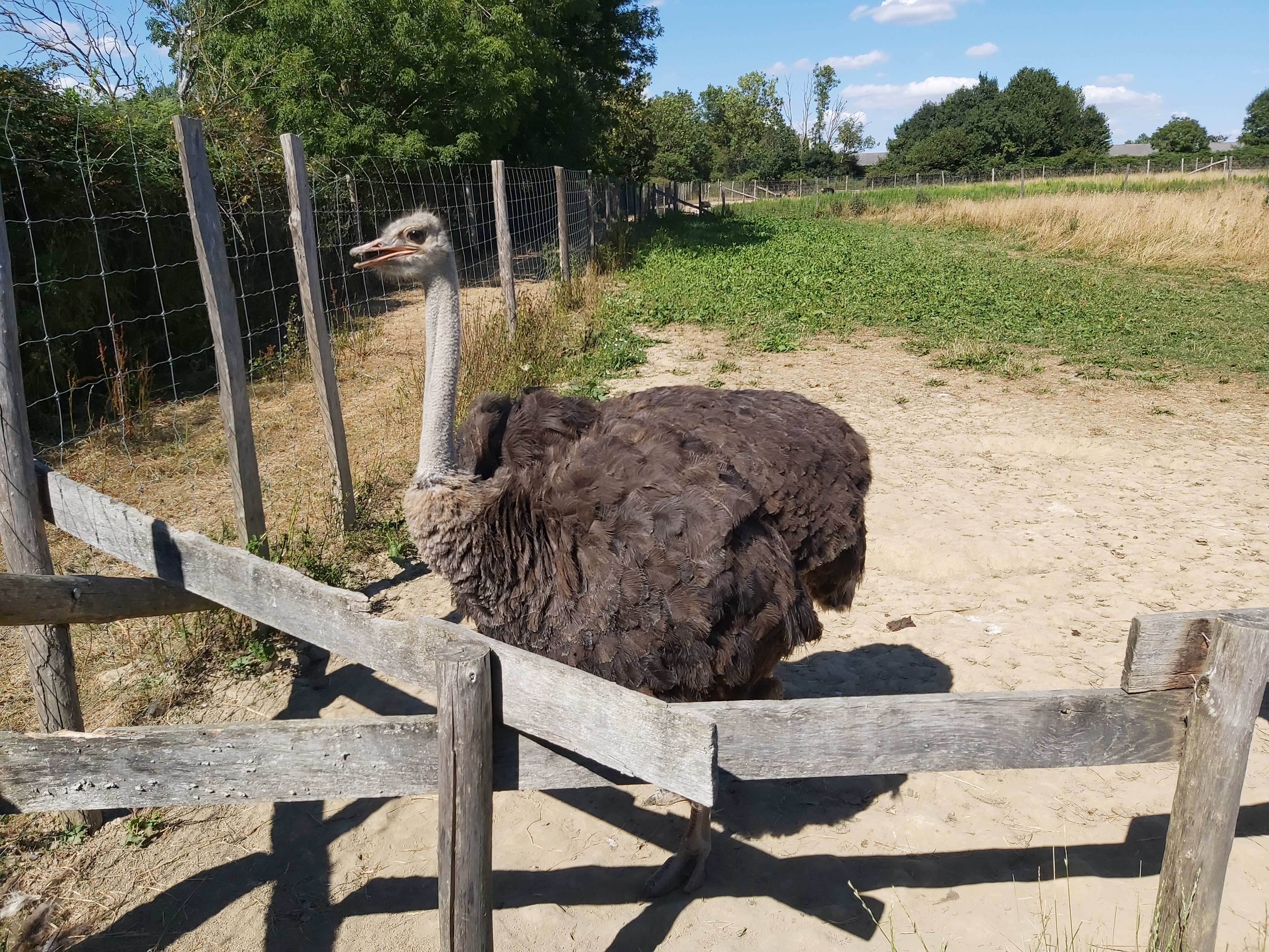 Photo n° 13 de l'avis de Guigeek_22. fait le 25/07/2020 à 21:01