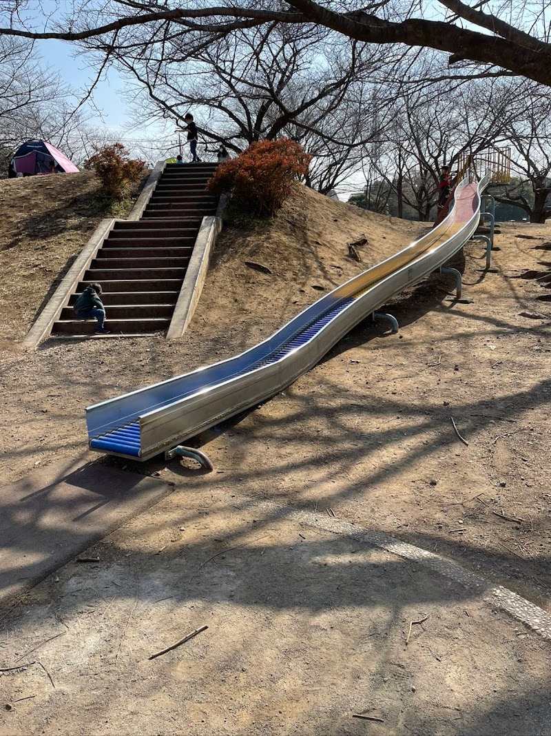 西城沼公園 埼玉県蓮田市城 公園 公園 グルコミ