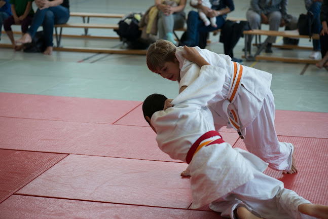 Judo und Ju-Jitsu Club Weisse Löwen Zürich - Zürich