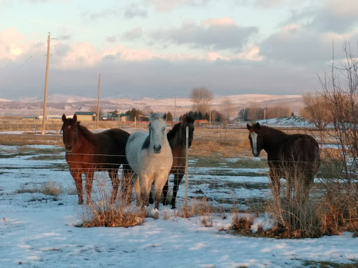 Hyde Plumbing in Blackfoot, Idaho