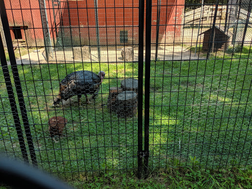 Zoo «Phillips Park Zoo», reviews and photos, 1000 Ray Moses Dr, Aurora, IL 60505, USA