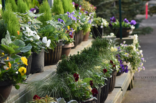 Garden Center «Pike Nurseries», reviews and photos, 615 W Crossville Rd, Roswell, GA 30075, USA