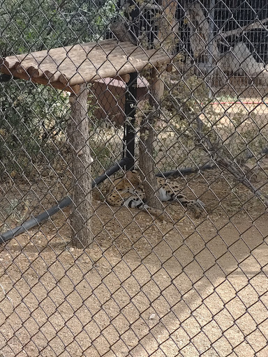 Zoo «Heritage Park Zoological Sanctuary», reviews and photos, 1403 Heritage Park Rd, Prescott, AZ 86301, USA