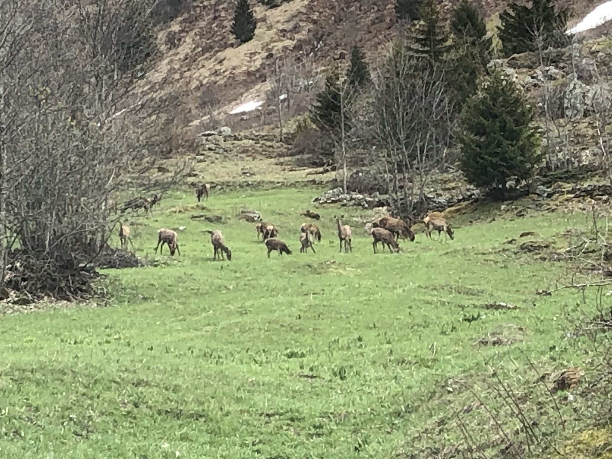 Photo n° 2 de l'avis de Mickael.E fait le 18/05/2021 à 16:49