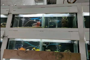 Bro's Aquarium And Pet Shop image