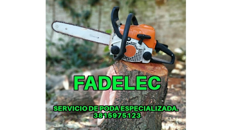 FADELEC - Servicio de poda,tala de árboles y mantenimiento de predios