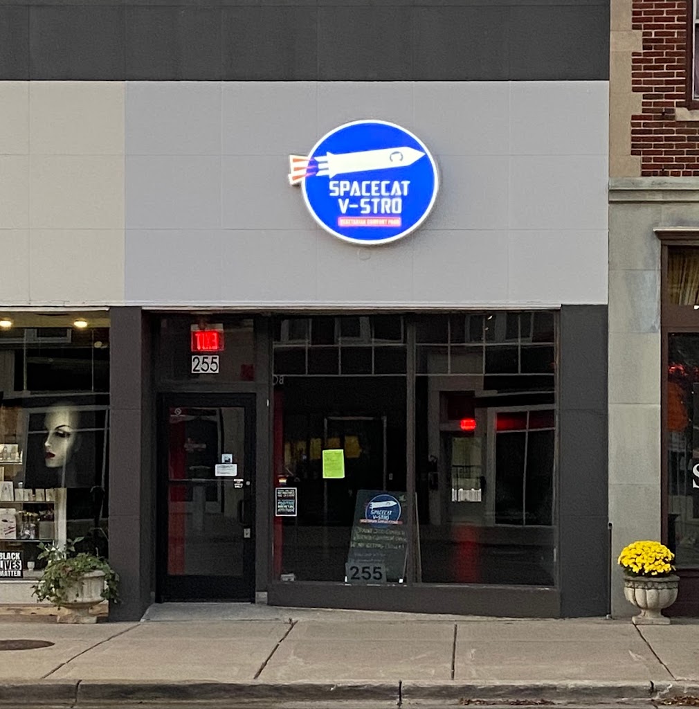 Spacecat V-stro 48220