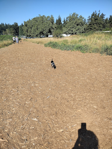 Concert Hall «Marymoor Park Concerts», reviews and photos, 6046 West Lake Sammamish Pkwy NE, Redmond, WA 98052, USA