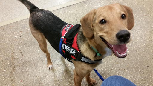 Pet Supply Store «PetSmart», reviews and photos, 24 Mountain Rd, Glen Burnie, MD 21060, USA