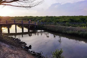 Puducherry Mangrove forest tourist spot image