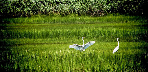 Park «Albert I. Allen Memorial Park», reviews and photos, 2200 Delware Ave, North Wildwood, NJ 08260, USA