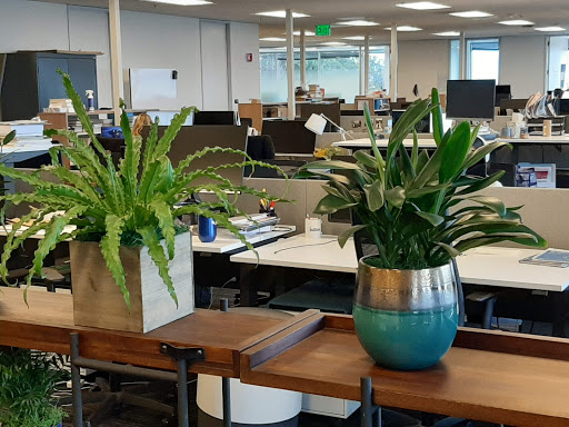 Coworking Space «GSVlabs», reviews and photos, 585 Broadway, Redwood City, CA 94063, USA