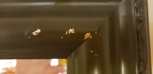 Hotel «Hotel RL Olympia by Red Lion», reviews and photos, 2300 Evergreen Park Dr SW, Olympia, WA 98502, USA