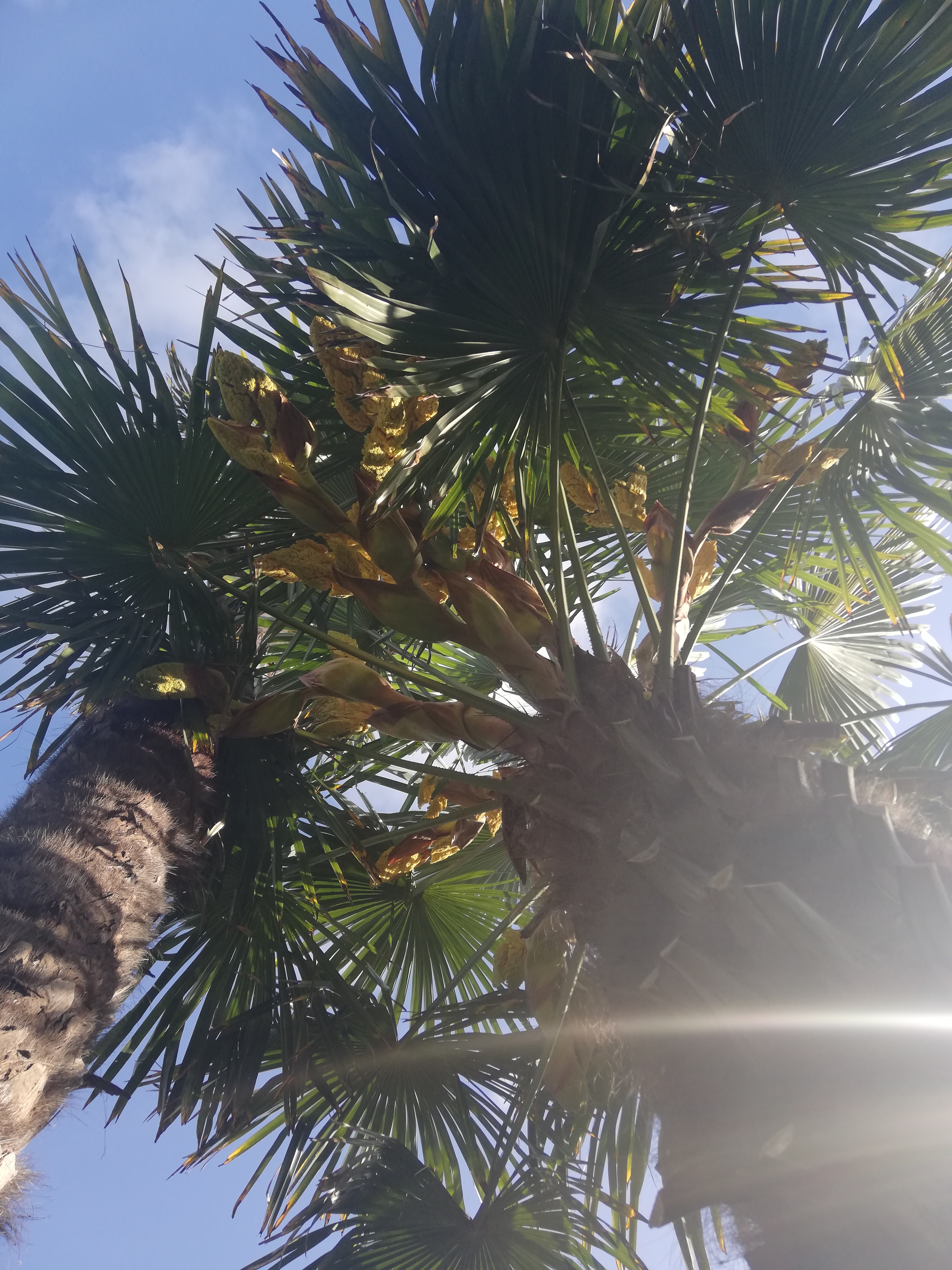 Photo n° 4 de l'avis de Sarah.e fait le 18/01/2019 à 11:11