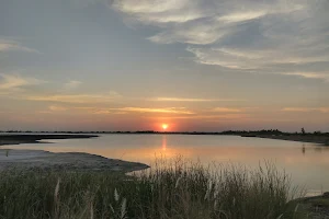 Neyveli Ash Lake image