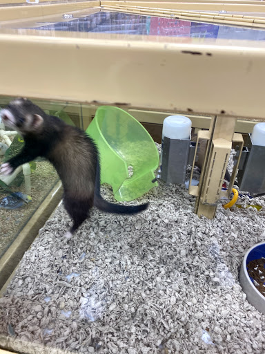 Pet Supply Store «Pet Supermarket», reviews and photos, 4500 N State Rd 7, Pompano Beach, FL 33073, USA