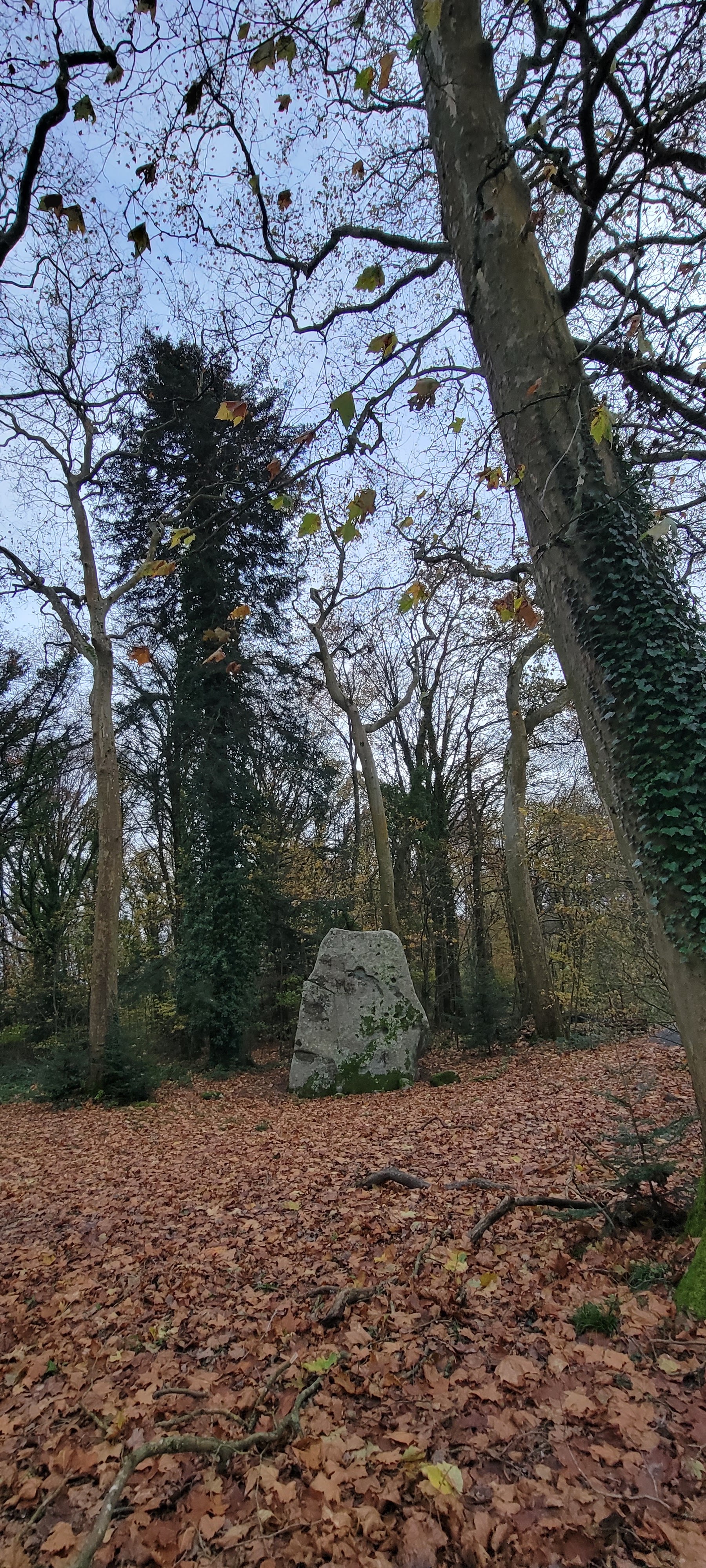Photo n° 3 de l'avis de Théo.C fait le 06/12/2023 à 12:29