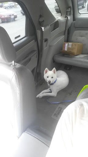 Pet Supply Store «Petco Animal Supplies», reviews and photos, 3860 Elmore Avenue, Davenport, IA 52807, USA