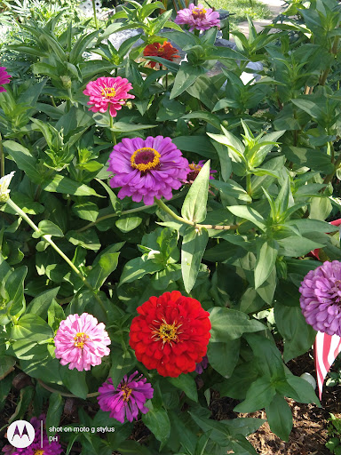 Thrift Store «Second Blessing Thrift Store Inc.», reviews and photos, 2323 Central Ave, Wichita, KS 67214, USA