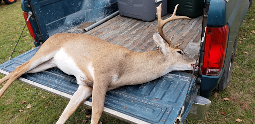 Taxidermist Waco