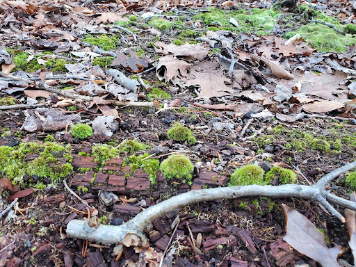 Park «Fairfax Villa Park», reviews and photos, 11399 Park Dr, Fairfax, VA 22030, USA