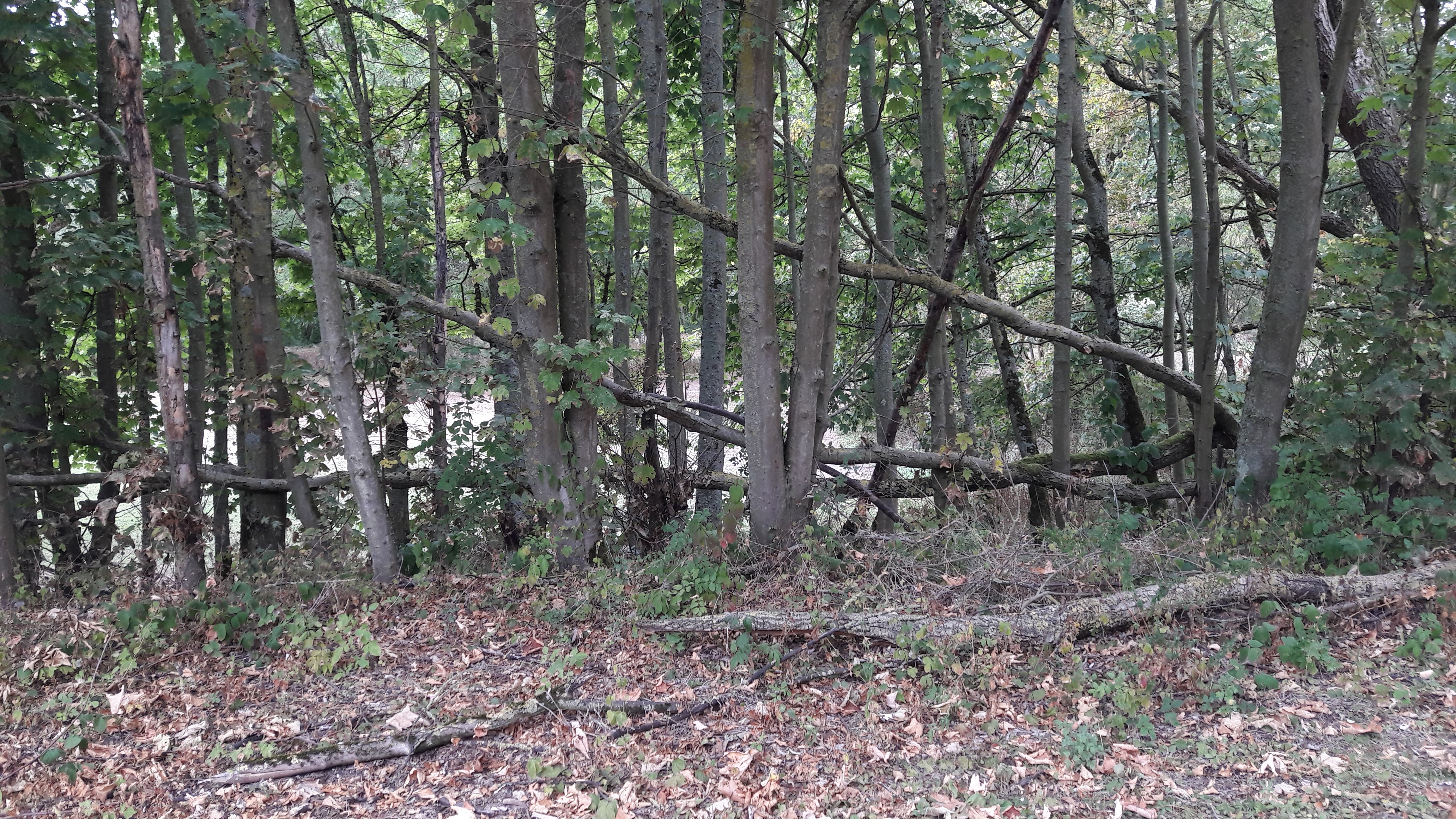 Photo n° 24 de l'avis de Alfa.l fait le 12/09/2019 à 04:09
