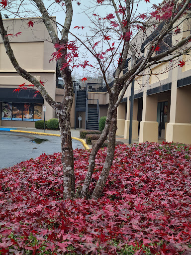 Shopping Mall «Holcomb 400 Shopping Center», reviews and photos, 1475 Holcomb Bridge Rd, Roswell, GA 30076, USA