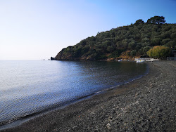Paralia Charamida'in fotoğrafı çok temiz temizlik seviyesi ile