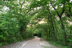 The Trail at the Woods