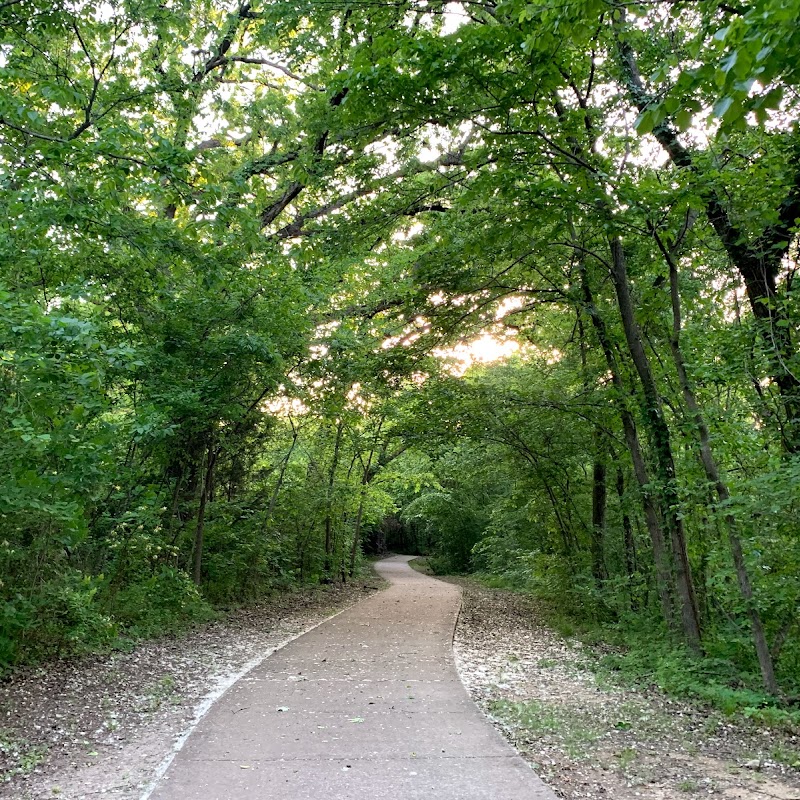 The Trail at the Woods