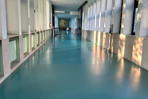 San Luigi Gonzaga University Hospital image