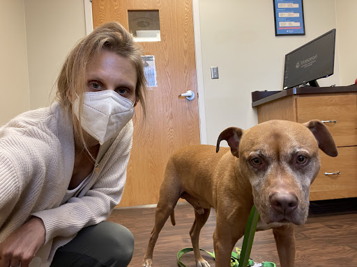 BluePearl Pet Hospital image