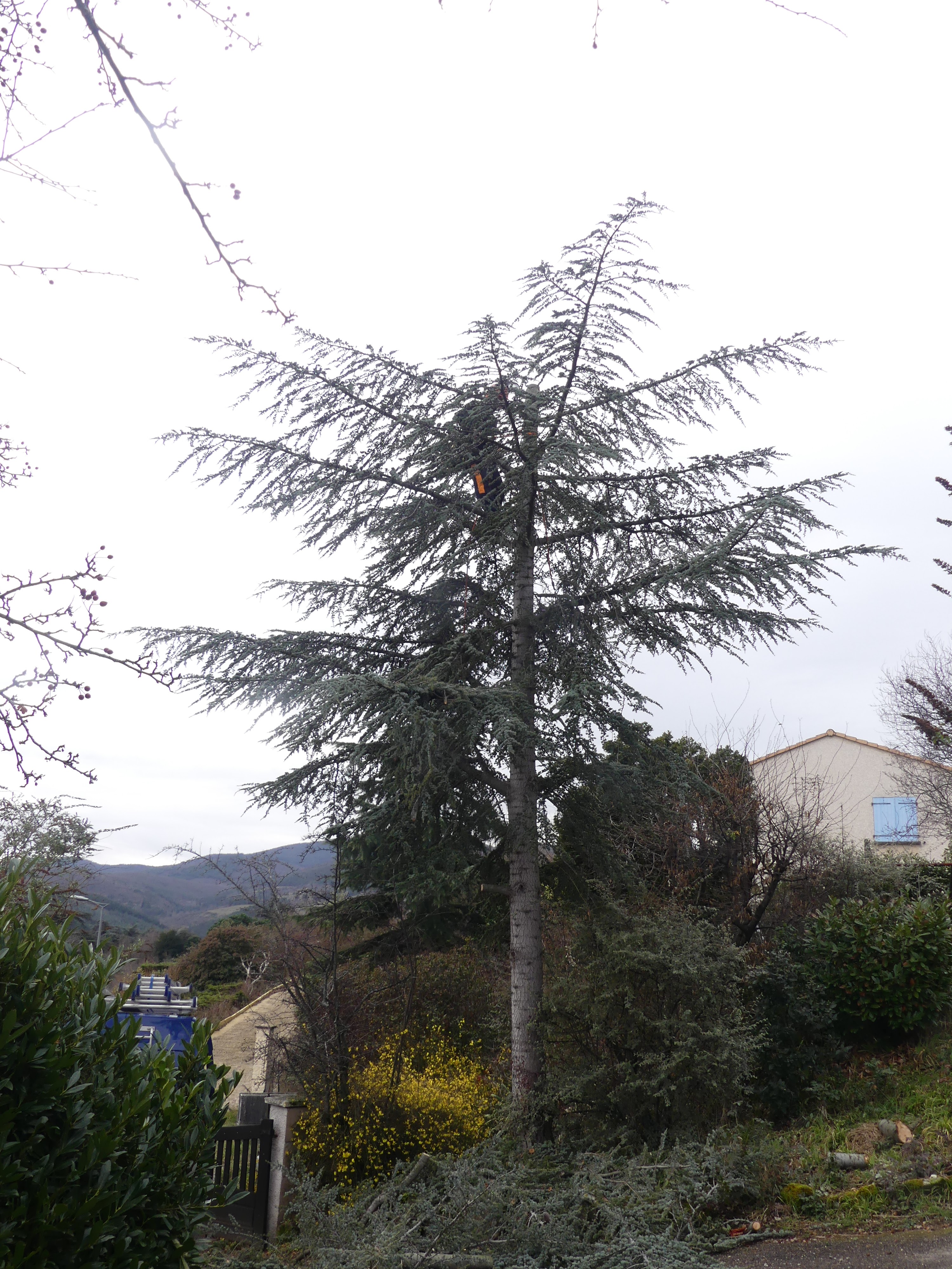 Photo n° 4 de l'avis de Rivel-Ruffin.h fait le 12/02/2024 à 14:34