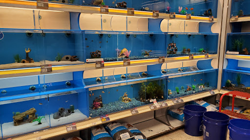 Pet Supply Store «PetSmart», reviews and photos, 1705 N Bechtle Ave, Springfield, OH 45504, USA