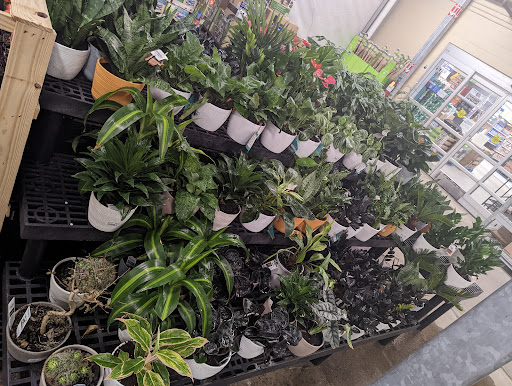 Department Store «Walmart Supercenter», reviews and photos, 33 Sherwood Dr, Tilton, NH 03276, USA