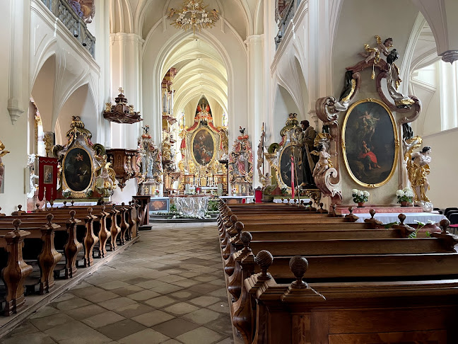 Želivský Klášter - Kostel