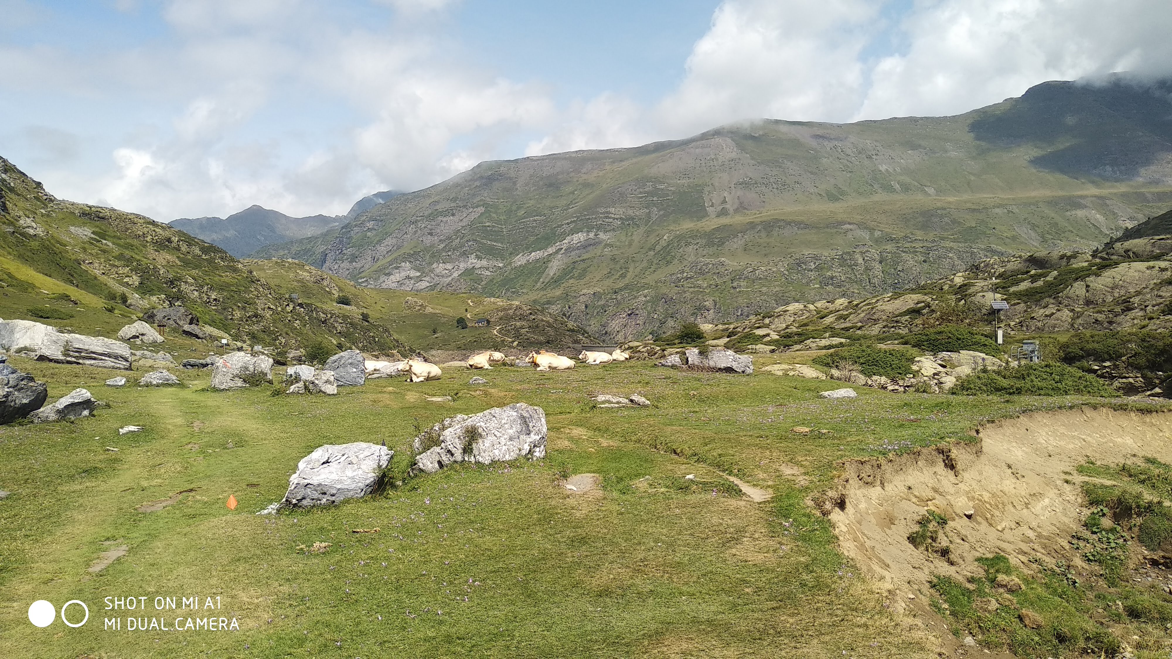 Photo n° 4 de l'avis de Jean-Marc. fait le 05/09/2018 à 19:03