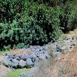 Oso Creek Trail - Stone Weir