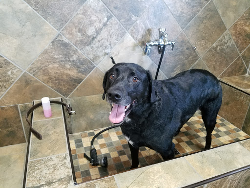 Pet Store «Pet Valu», reviews and photos, 7249 Arlington Blvd, Falls Church, VA 22042, USA